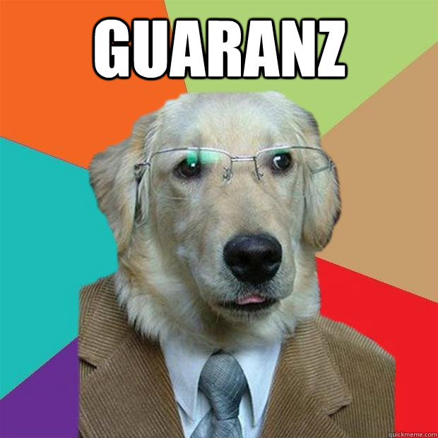 guaranz   Business Dog