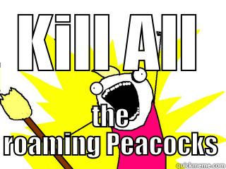 KILL ALL THE ROAMING PEACOCKS All The Things