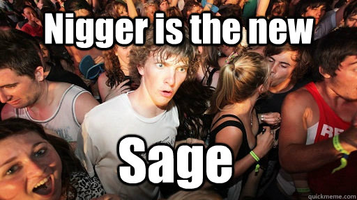 Nigger is the new Sage  Sudden Clarity Clarence