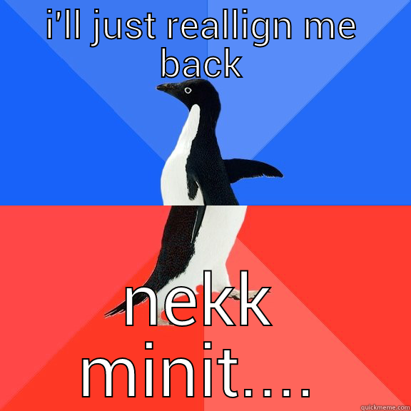 I'LL JUST REALLIGN ME BACK NEKK MINIT.... Socially Awkward Awesome Penguin