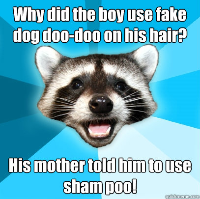 Why did the boy use fake dog doo-doo on his hair? His mother told him to use
sham poo!  Lame Pun Coon