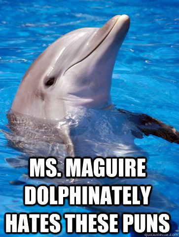  Ms. Maguire dolphinately hates these puns -  Ms. Maguire dolphinately hates these puns  Punny Dolphin