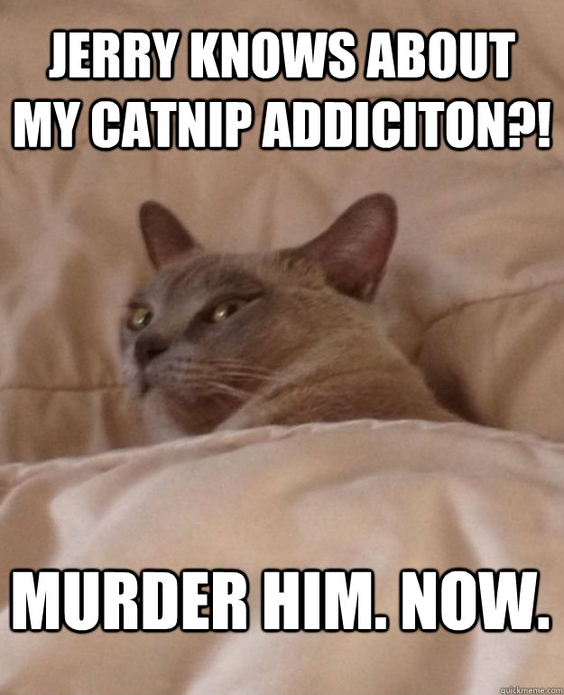 Jerry knows about my catnip addiciton?! Murder him. Now.  