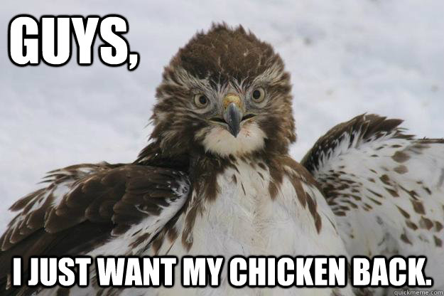 guys,  I just want my chicken back.  Ruffled Feathers Chicken Hawk