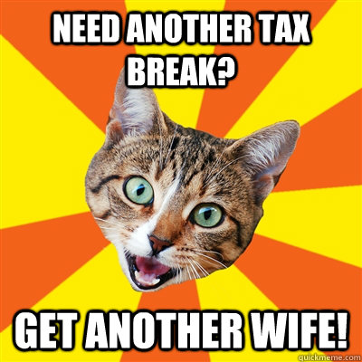 Need another tax break? Get another wife!  Bad Advice Cat