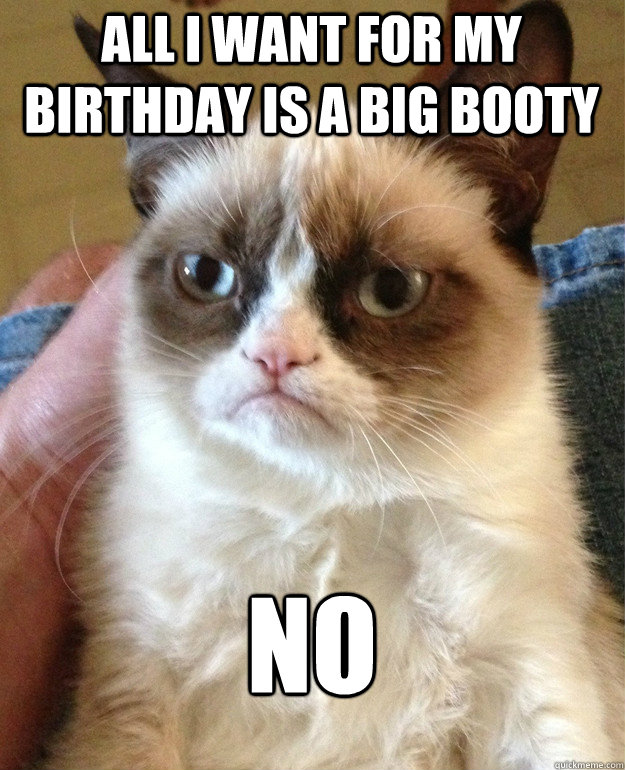 All I want for my birthday is a big booty no  Grumpy Cat