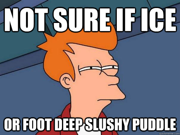 Not Sure if ice Or foot deep slushy puddle  Futurama Fry