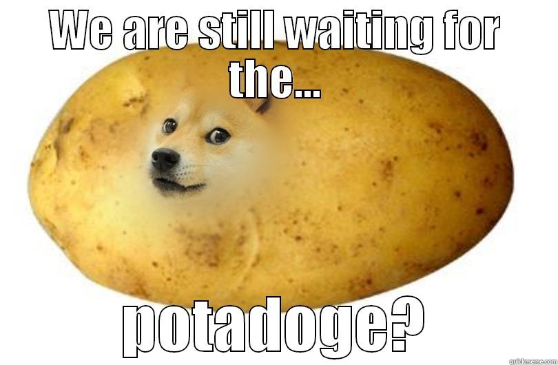 WE ARE STILL WAITING FOR THE... POTADOGE? Misc