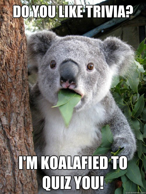 Do you like trivia? i'm koalafied to quiz you!  