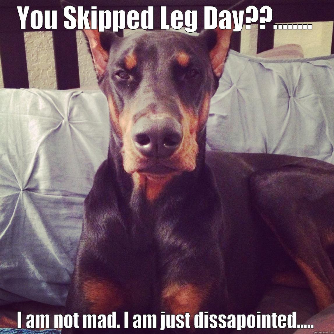 Skipping leg day - YOU SKIPPED LEG DAY??........ I AM NOT MAD. I AM JUST DISSAPOINTED..... Misc