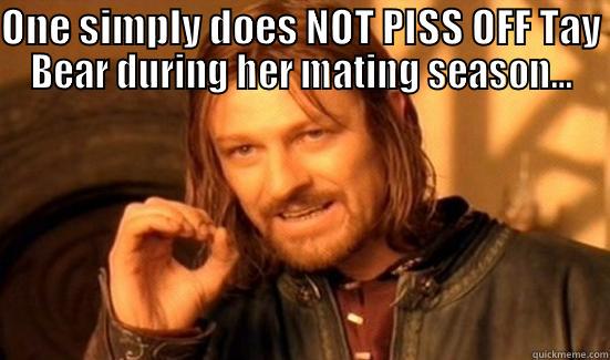 ONE SIMPLY DOES NOT PISS OFF TAY BEAR DURING HER MATING SEASON...  Boromir