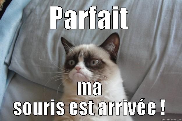 PARFAIT MA SOURIS EST ARRIVÉE ! Grumpy Cat