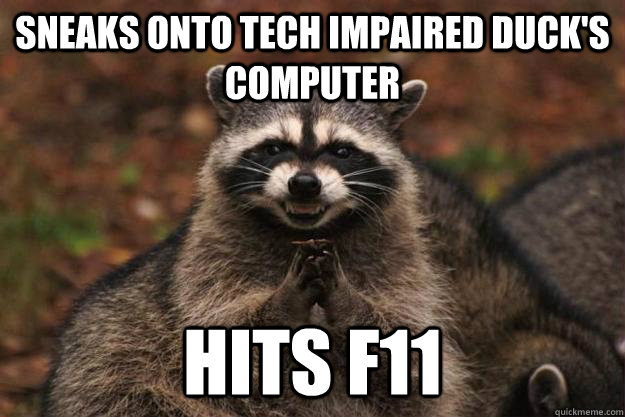 Sneaks onto Tech Impaired duck's computer Hits F11  - Sneaks onto Tech Impaired duck's computer Hits F11   Evil Plotting Raccoon