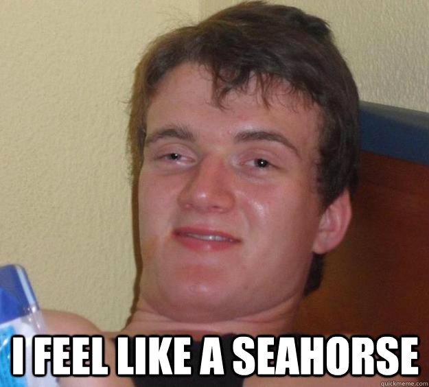  I feel like a seahorse  10 Guy