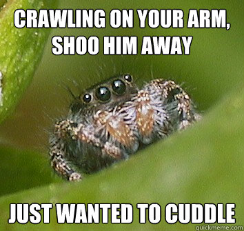 crawling on your arm, shoo him away just wanted to cuddle  Misunderstood Spider