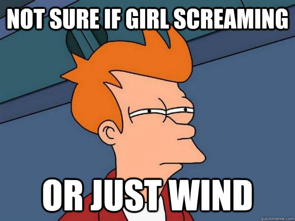 Not sure if girl screaming Or just wind - Not sure if girl screaming Or just wind  Futurama Fry