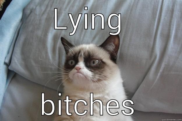 lying bitches - LYING BITCHES Grumpy Cat