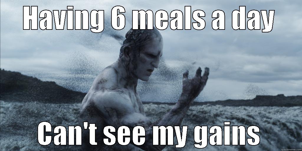 HAVING 6 MEALS A DAY CAN'T SEE MY GAINS Misc