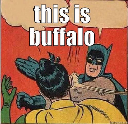 THIS IS BUFFALO  Batman Slapping Robin