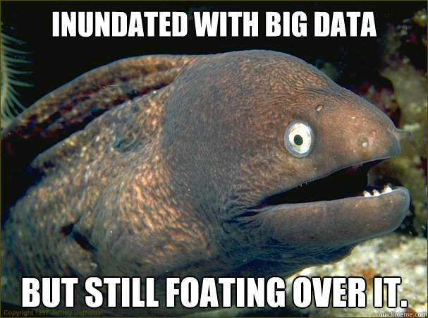 Inundated with BIG data But still foating over it.  Bad Joke Eel