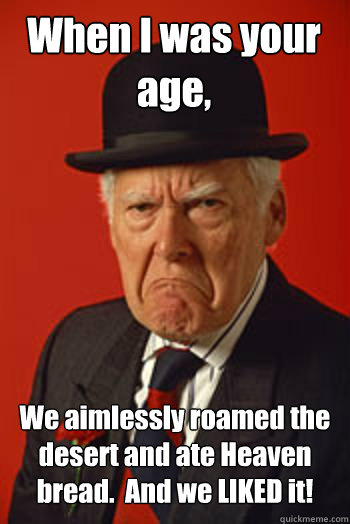 When I was your age, We aimlessly roamed the desert and ate Heaven bread.  And we LIKED it!  - When I was your age, We aimlessly roamed the desert and ate Heaven bread.  And we LIKED it!   Pissed old guy