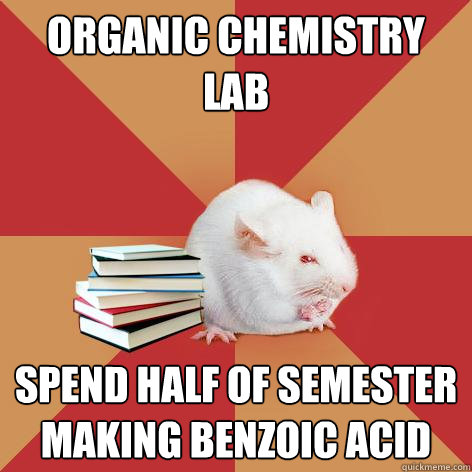 ORGANIC CHEMISTRY LAB SPEND HALF OF SEMESTER MAKING BENZOIC ACID  Science Major Mouse