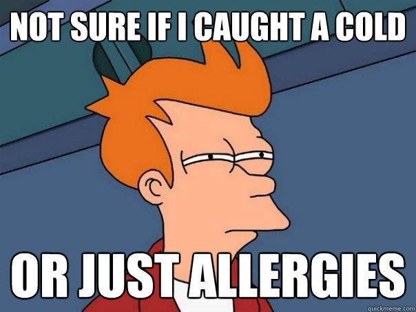 Not sure if I caught a cold Or just allergies  Futurama Fry