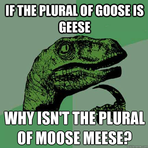 if the plural of goose is geese why isn't the plural of moose meese?
 - if the plural of goose is geese why isn't the plural of moose meese?
  Philosoraptor