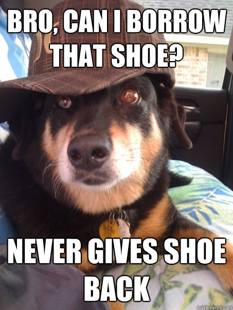 bro, can i borrow that shoe? never gives shoe back  Scumbag dog