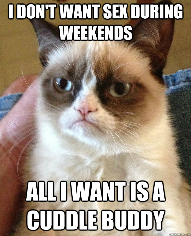 i don't want sex during weekends all i want is a cuddle buddy  Grumpy Cat