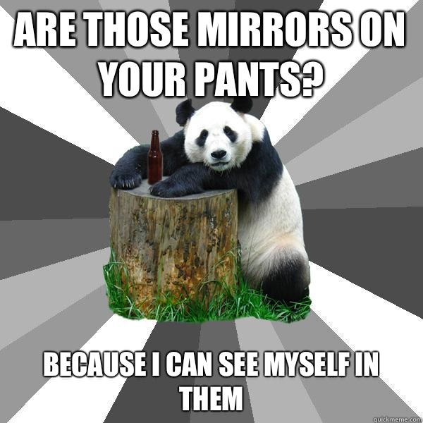 ARE THOSE MIRRORS ON YOUR PANTS? BECAUSE I CAN SEE MYSELF IN THEM  Pickup-Line Panda