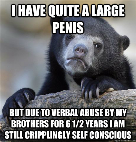 I have quite a large penis But due to verbal abuse by my brothers for 6 1/2 years I am still cripplingly self conscious  Confession Bear