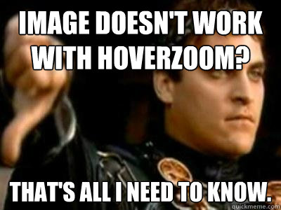 Image doesn't work with HoverZoom? That's all I need to know. - Image doesn't work with HoverZoom? That's all I need to know.  Downvoting Roman