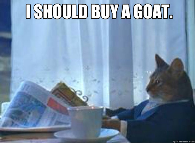 I Should buy a goat.    I should buy a boat cat