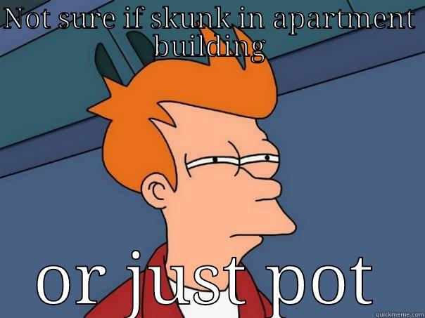 NOT SURE IF SKUNK IN APARTMENT BUILDING OR JUST POT Futurama Fry