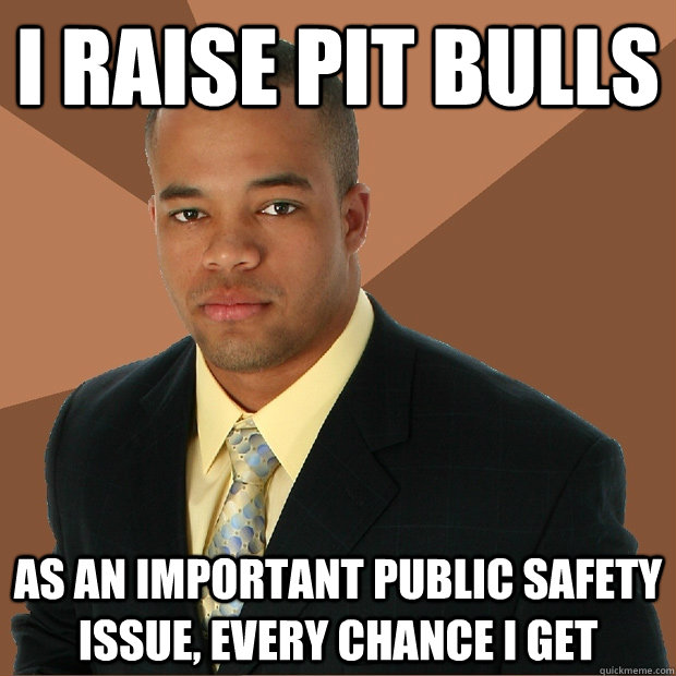 I raise pit bulls as an important public safety issue, every chance I get - I raise pit bulls as an important public safety issue, every chance I get  Successful Black Man