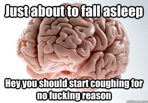 Just about to fall asleep Hey you should start coughing for no fucking reason   Scumbag Brain