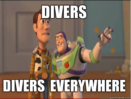 Divers Divers  everywhere   woody and buzz