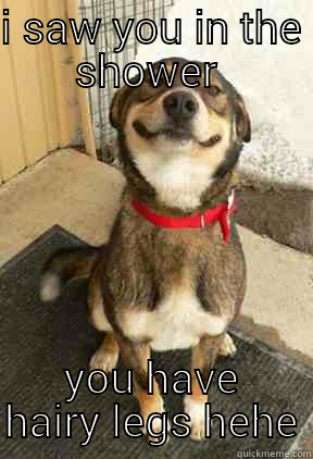 evil smile - I SAW YOU IN THE SHOWER  YOU HAVE HAIRY LEGS HEHE Good Dog Greg