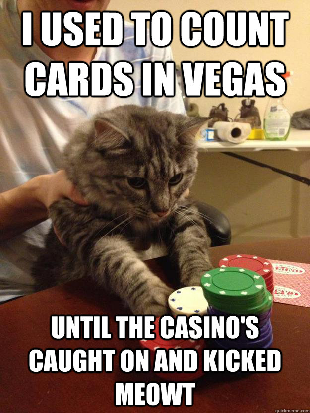 I used to count cards in vegas Until the casino's caught on and kicked meowt  