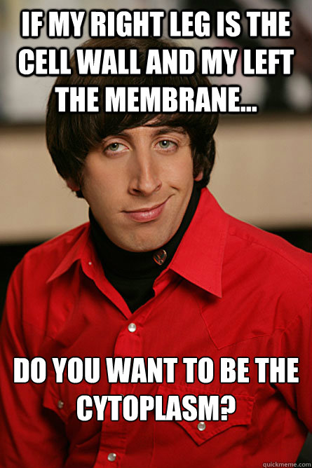 If my right leg is the cell wall and my left the membrane... do you want to be the cytoplasm? 

  Pickup Line Scientist