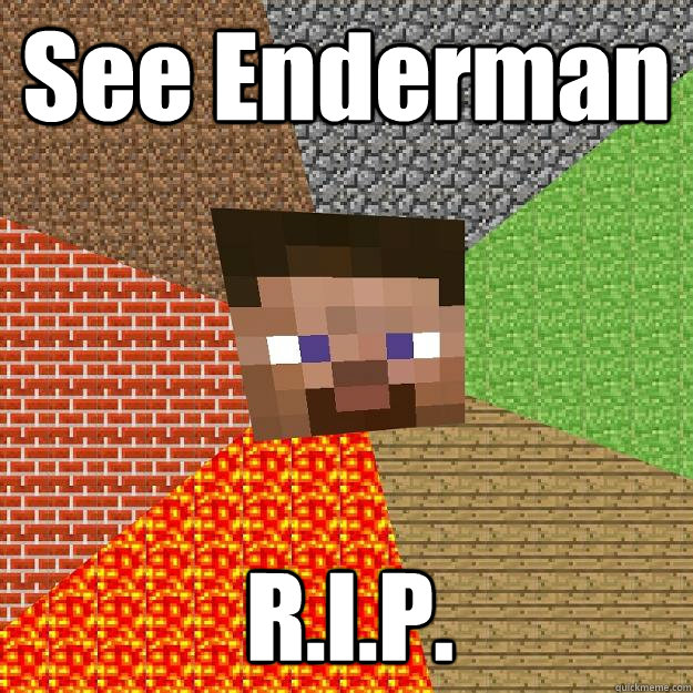 See Enderman R.I.P.  Minecraft