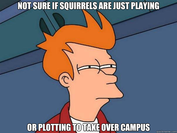 Not Sure IF SQUIRRELS ARE JUST PLAYING OR PLOTTING TO TAKE OVER CAMPUS  Futurama Fry