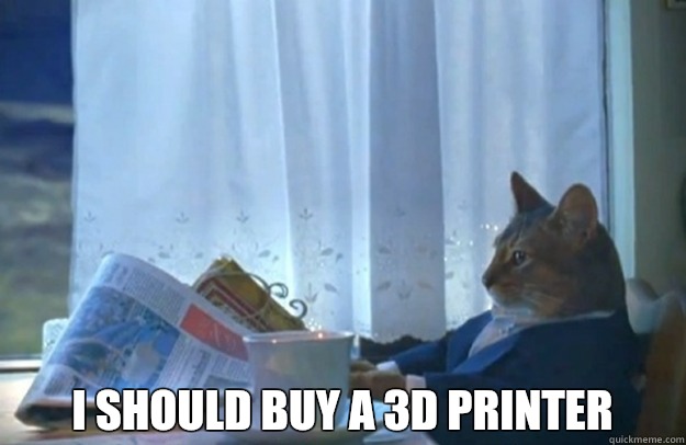  I should buy a 3D printer  Sophisticated Cat