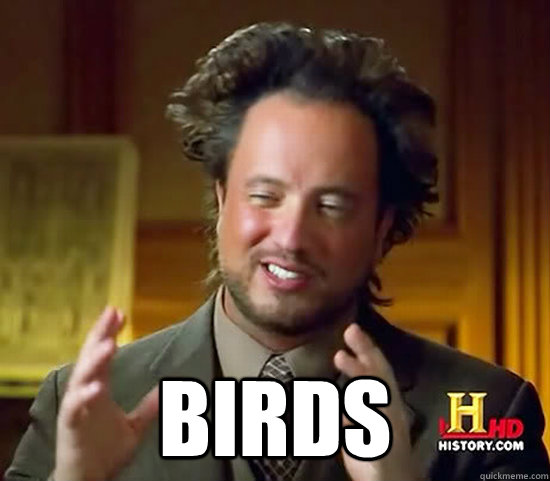  birds -  birds  Ancient Aliens