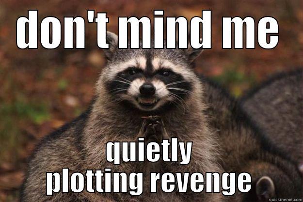 DON'T MIND ME QUIETLY PLOTTING REVENGE Evil Plotting Raccoon