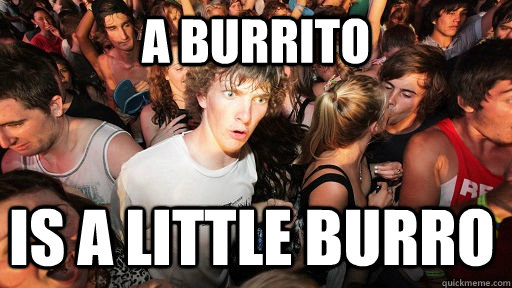 A Burrito Is a little burro - A Burrito Is a little burro  Sudden Clarity Clarence