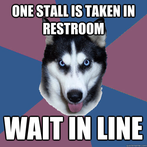 One stall is taken in restroom Wait in line  Creeper Canine