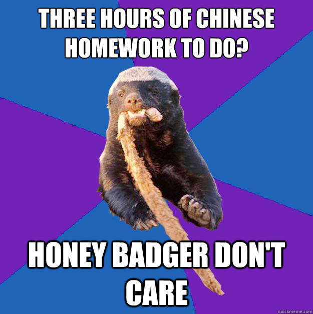 Three hours of Chinese homework to do? honey badger don't care  Honey Badger Dont Care