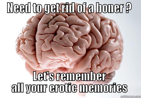 NEED TO GET RID OF A BONER ? LET'S REMEMBER ALL YOUR EROTIC MEMORIES Scumbag Brain